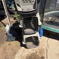 Need Gone Asap 