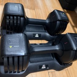 Dumbbells For Home Gym