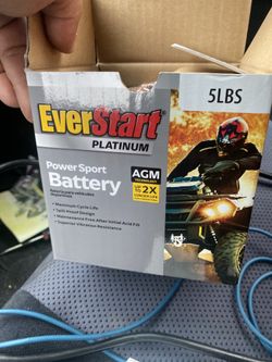 Everstart Platinum