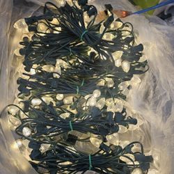 C7 LED Christmas Lights (Clear Color)