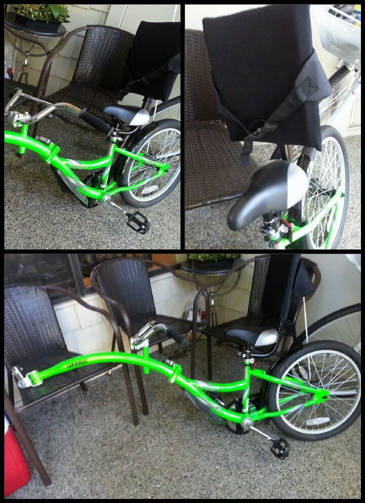 WEERIDE CO-PILOT BIKE TRAILER WITH TRAIL A BIKE BACK REST