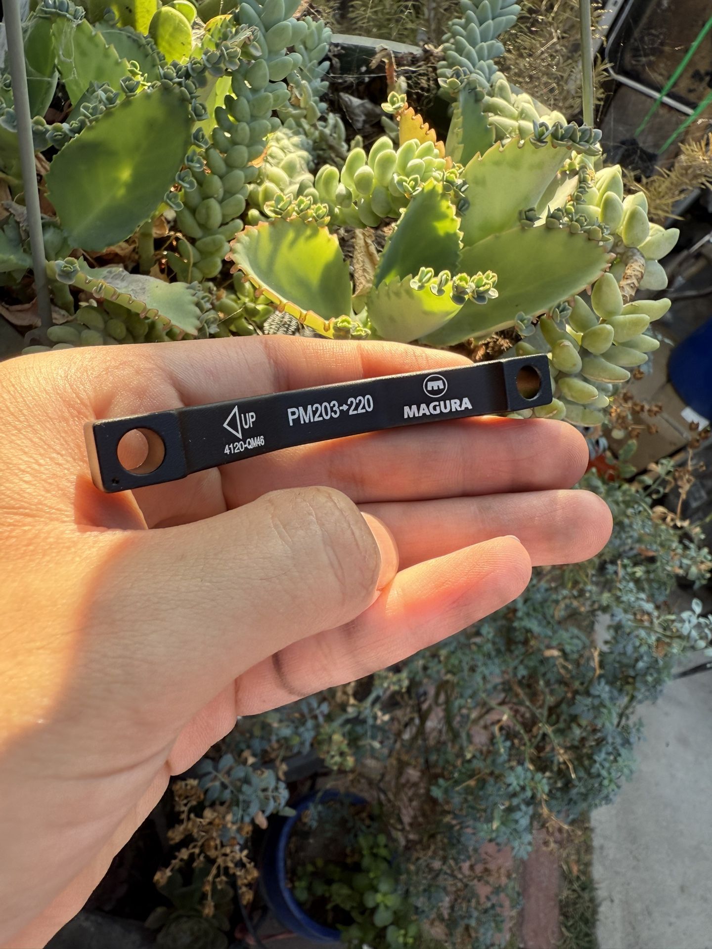 Magura 220MM Adapter