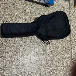 Guitar Case 