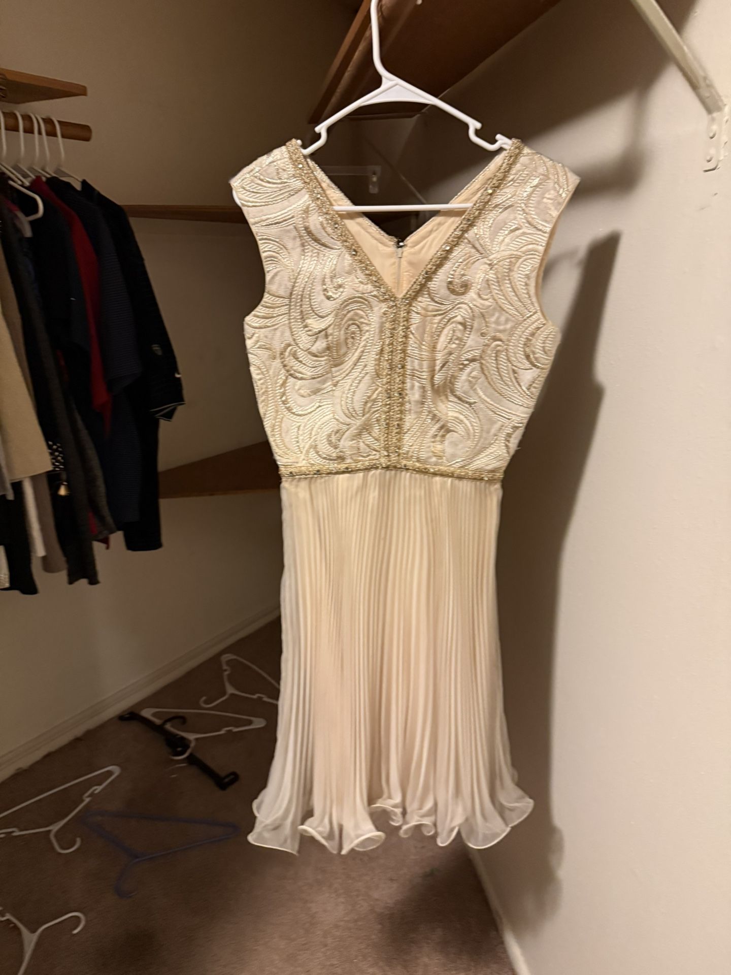 Woman’s Holiday Dress