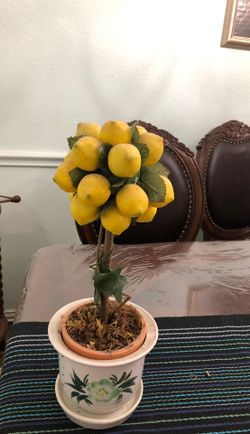 Lemon flower pot. Offers are welcome
