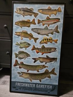 Fish Frame 