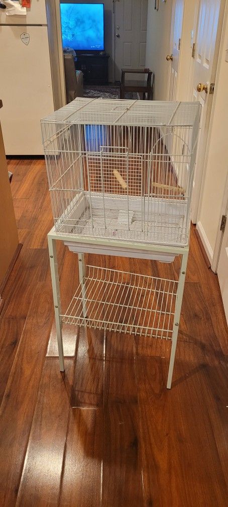 Bird Cage