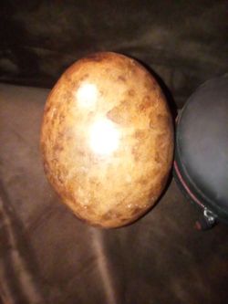 Unique Dragon Falcon Egg Shell