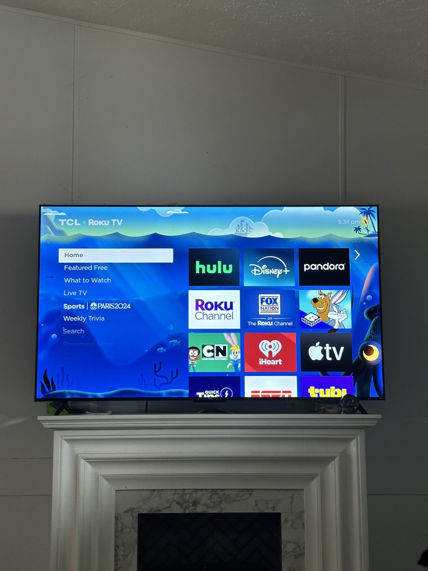 Tcl 65 Inch