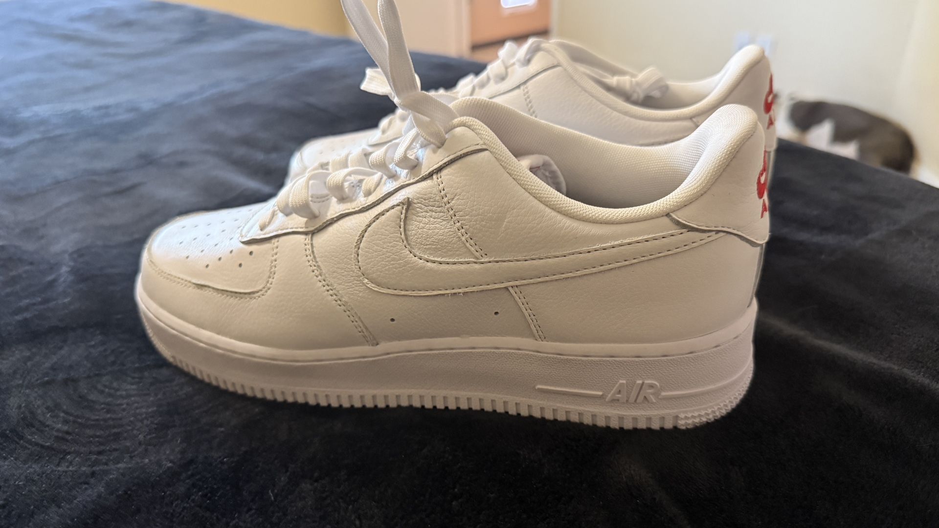 Nike Air Force Shoes (11) White