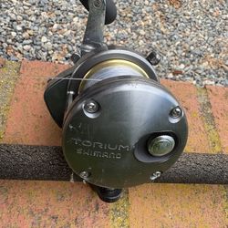 Shimano Torium X Graftech Conventional Combo 