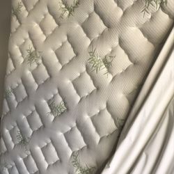 🛏️ 3-Month-Old Queen Sleep Signature Mattress