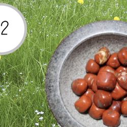 Red Jasper Tumbled 