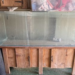 Fish Tank And Stand
