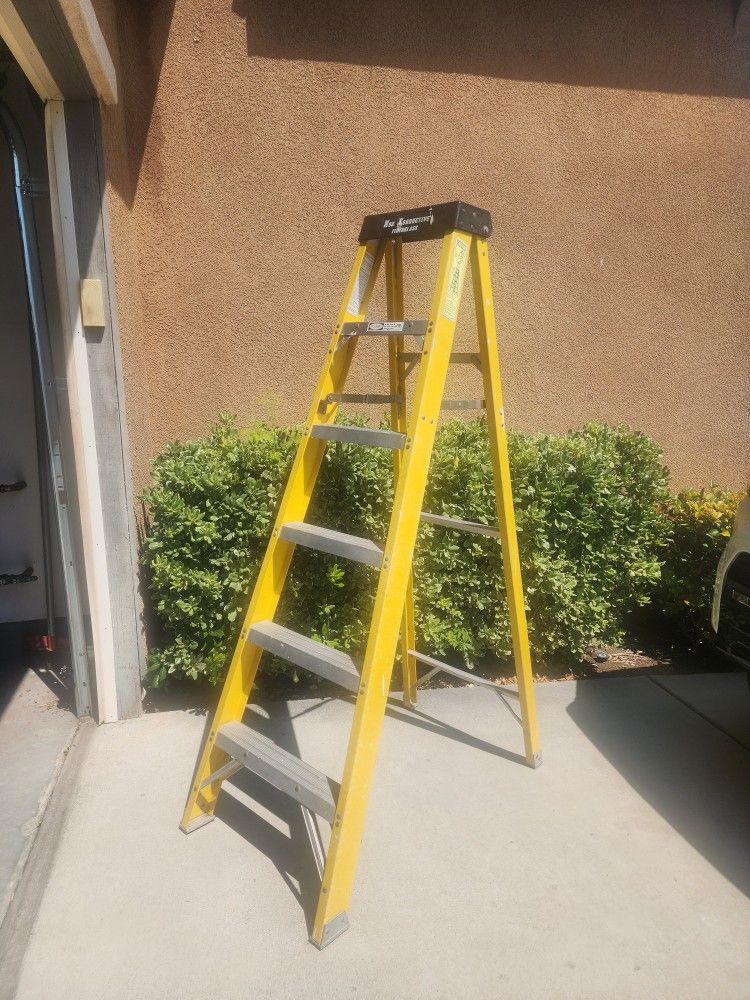 Werner 6 Foot Fiberglass Ladder