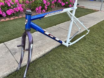 GT Saddleback frameset