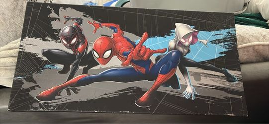 Spider man decor