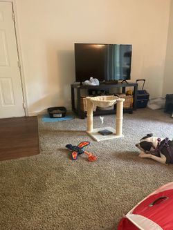 Cat tree