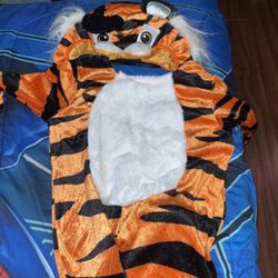 Tiger Costume 12-24M
