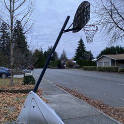 Freestanding Basketball Hoop