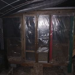 Chicken Coop