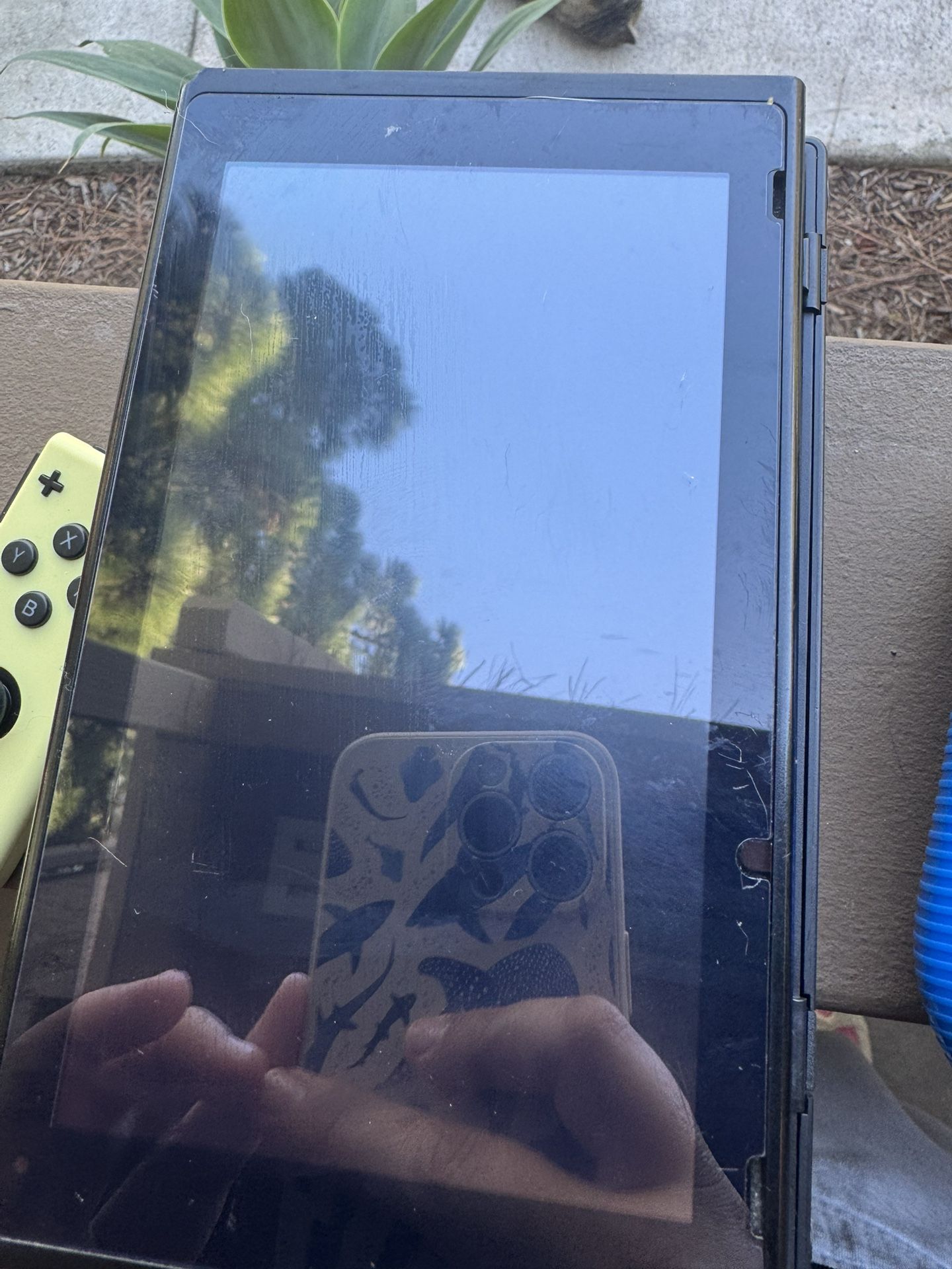 nintendo switch + accessories 