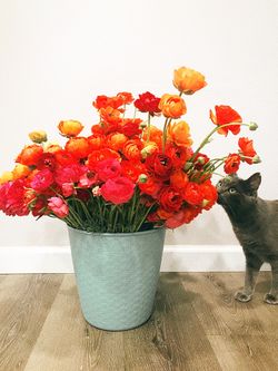 Fresh Cut Flowers