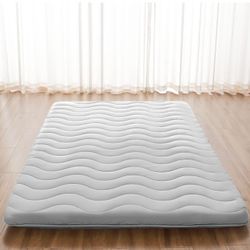 Futon Mattress 