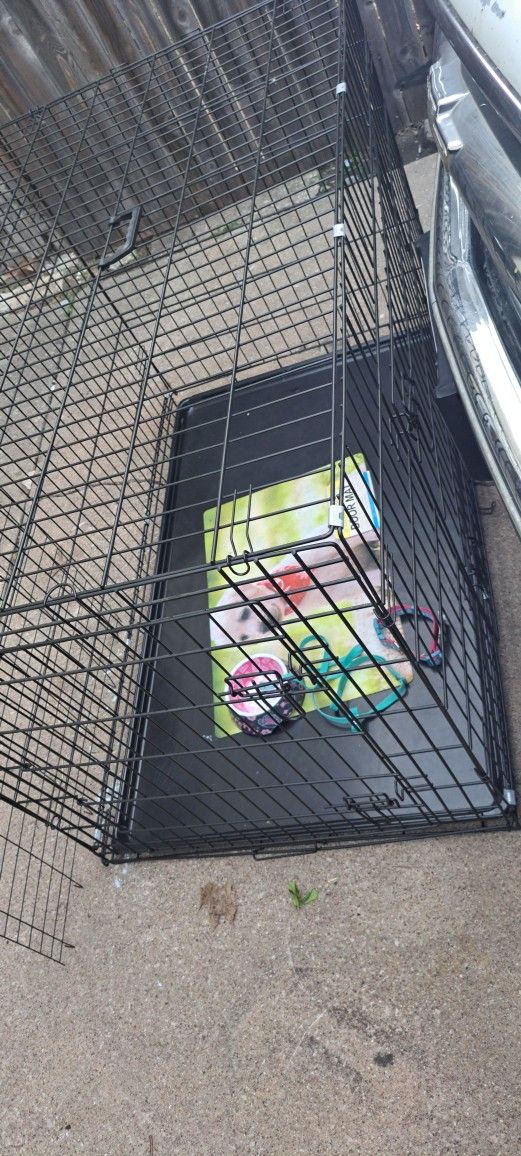 Dog Cage