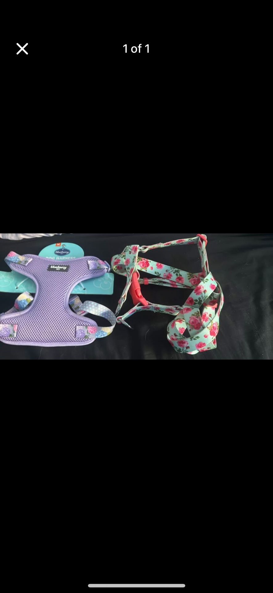 Dog Harness