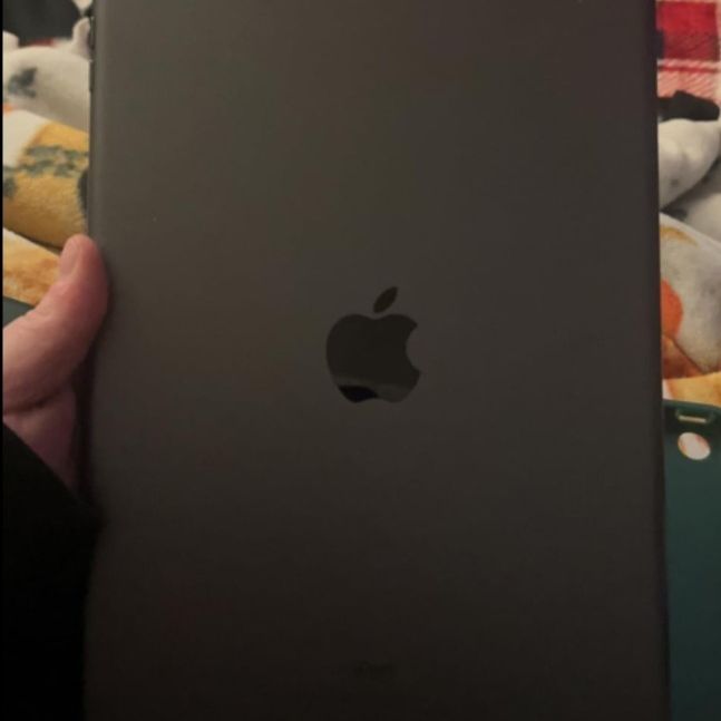 2019 Apple iPad 7th Gen (10.2 inch, Wi-Fi, 32GB)

