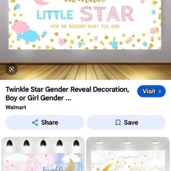 Gender Reveal Twinkle Little Star Bundle