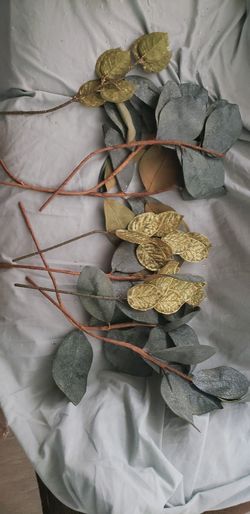 the trees on the golden road