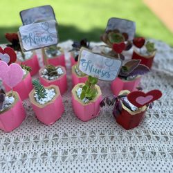 Nurse 🧑‍⚕️ Day Succulents 