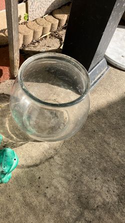 Fish Bowl