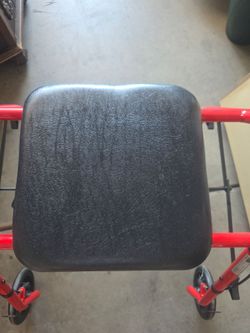 Seated Walker