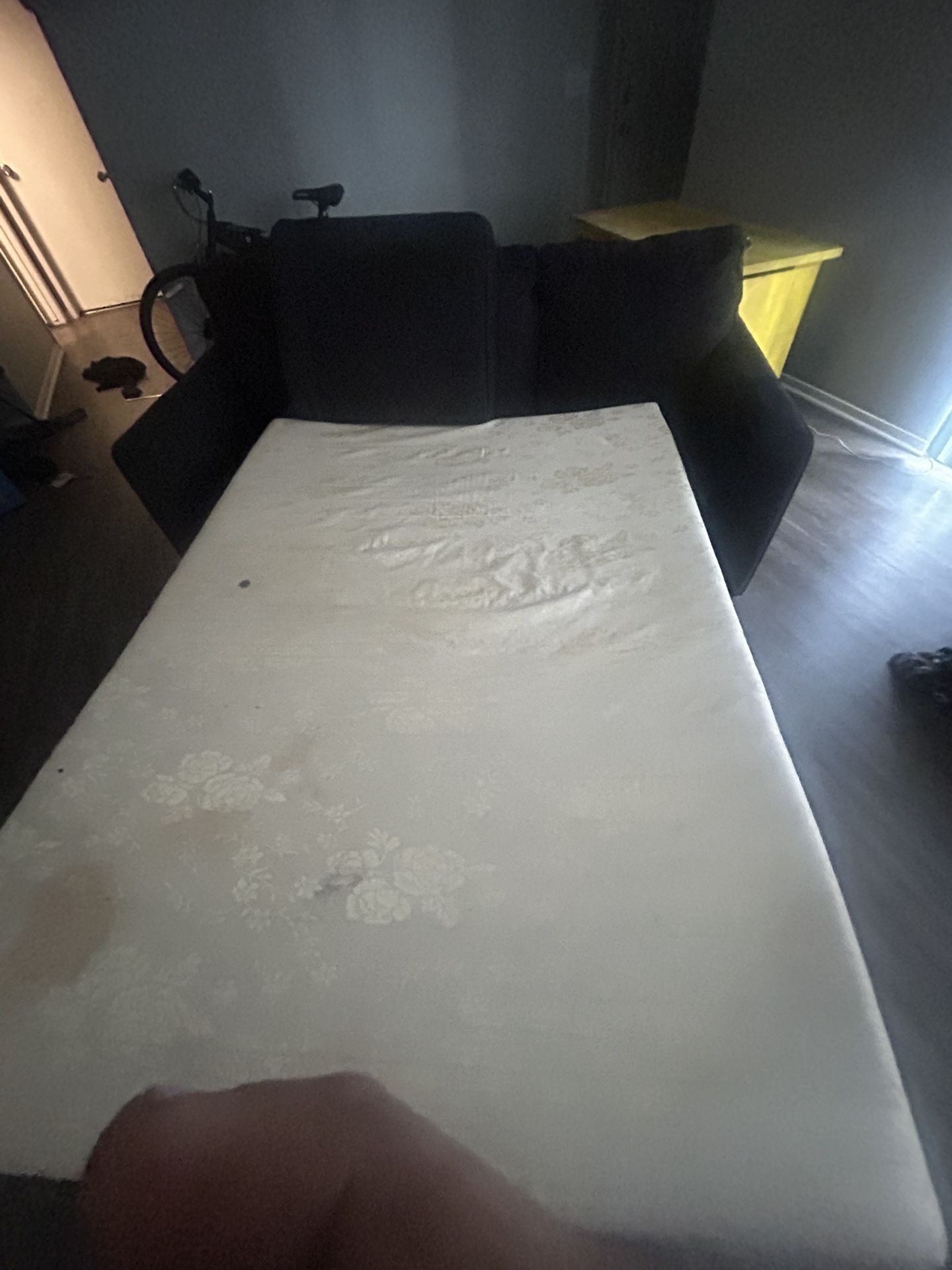 Fold Out Couch 