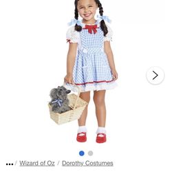 Toddler Dorthy Costume 2t