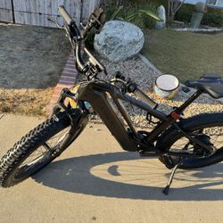 E-BIKE ASYNC L5 Special Edition