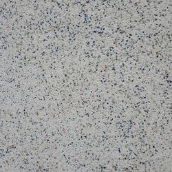 Pool Tile And Coping /plaster/mini Pebble