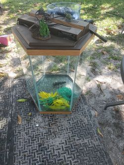Aquarium Tank