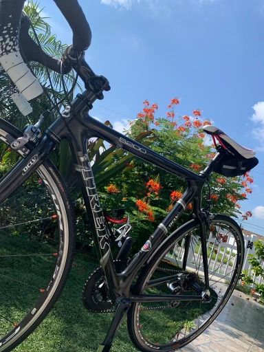 🚵‍♀️TREK 5200//💥Full Carbon// 💎Excellent Condition//52cm. Road Bike💥🚵‍♀️