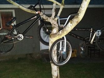 premium solo plus and Haro Bmx Bikes