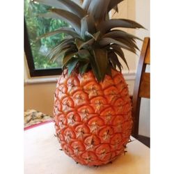 Sugarloaf Pineapple Plants Edible Core In 3 Gal 