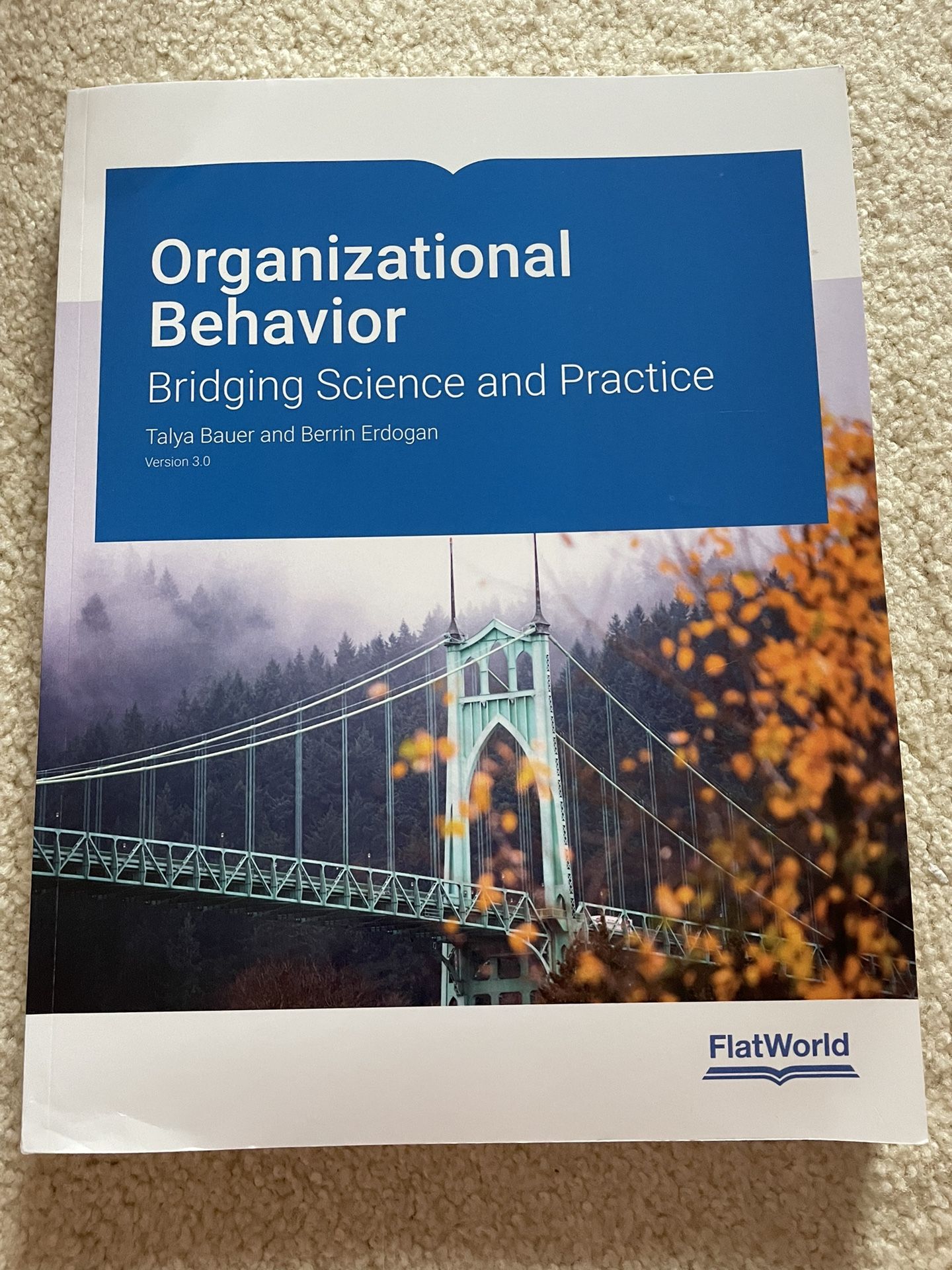 Organizational Behavior: Bridging Science and Practice Version 3.0