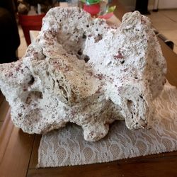 Fish Tank Rocks Read Description 