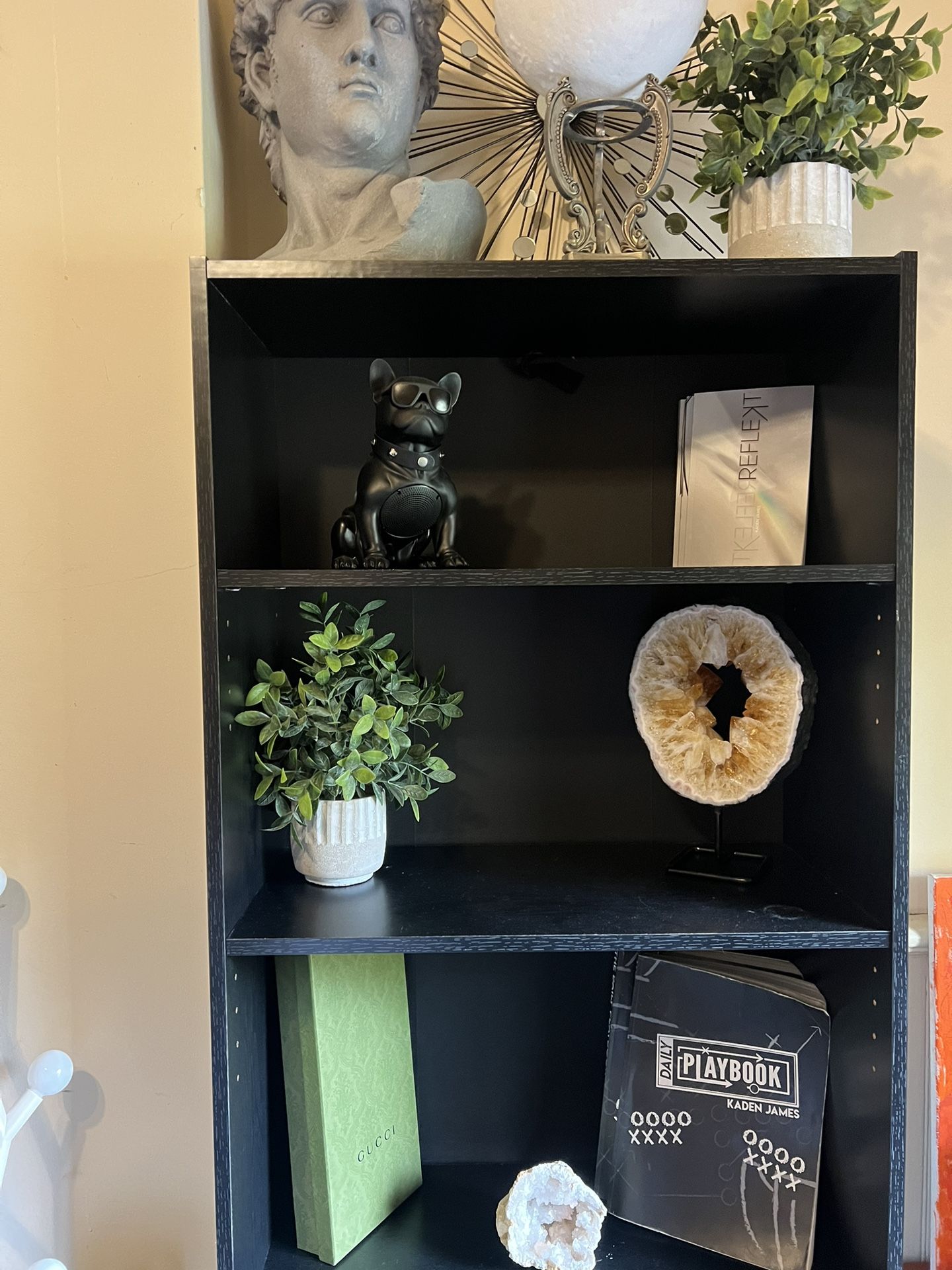 2 Black Bookshelves