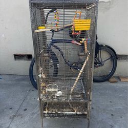 Parakeet cage/ Jaula de perikitos