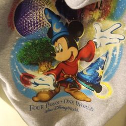 WALT DISNEY WORLD HANES HOODIE ( GRAY) SMALL WOMEN 