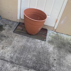 Flower Pots 